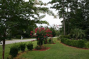 Landscaping Designers South Carolina and FLorida